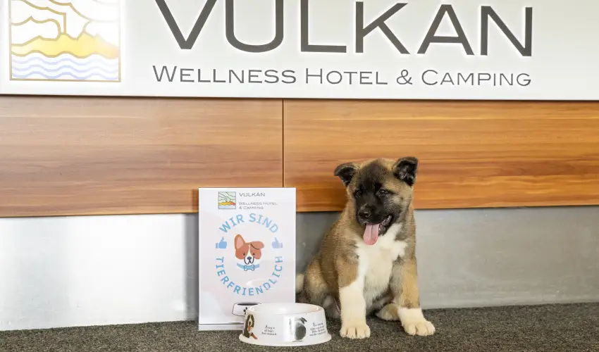 Vulkn Wellness Hotel s Kemping Celldmlk - Szilveszter (min. 2 j)