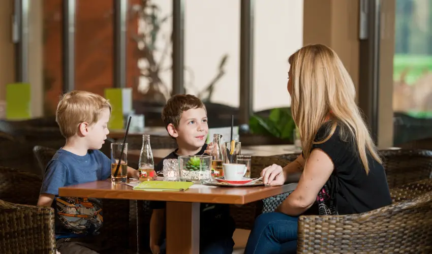 Vulkn Wellness Hotel s Kemping Celldmlk - Szilveszter (min. 2 j)