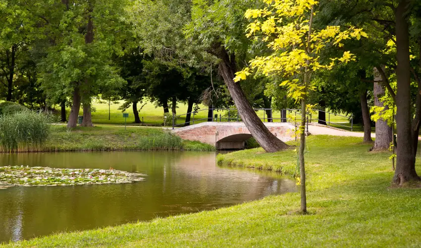 Krolyi Kastly Hotel & Restaurant  Fehrvrcsurg - Szilveszter