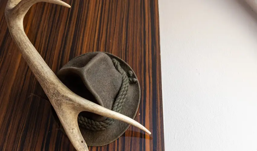 Kastello Vendghz Nagykozr - Szilveszter