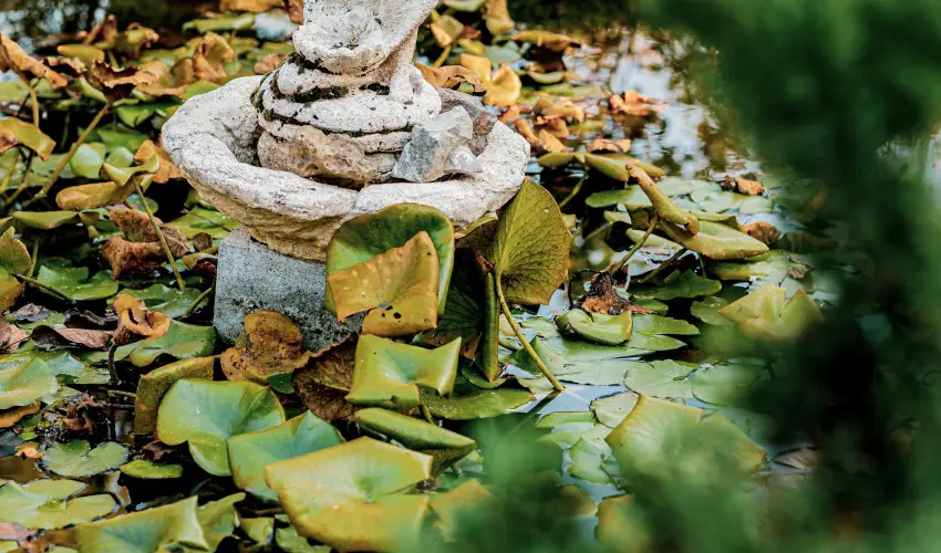 Kastello Vendghz Nagykozr - Szilveszter