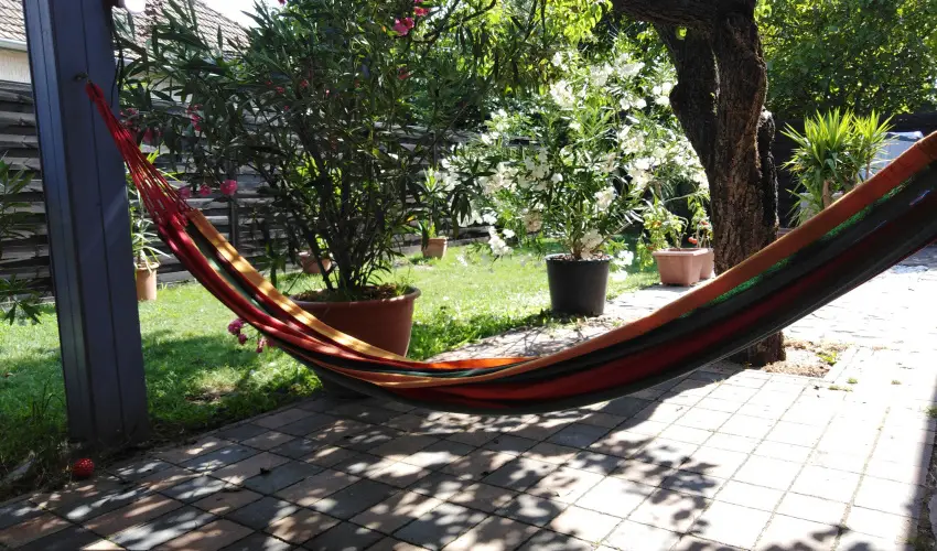 K�kmad�r Vend�gh�z Homokm�gy - Szilveszter