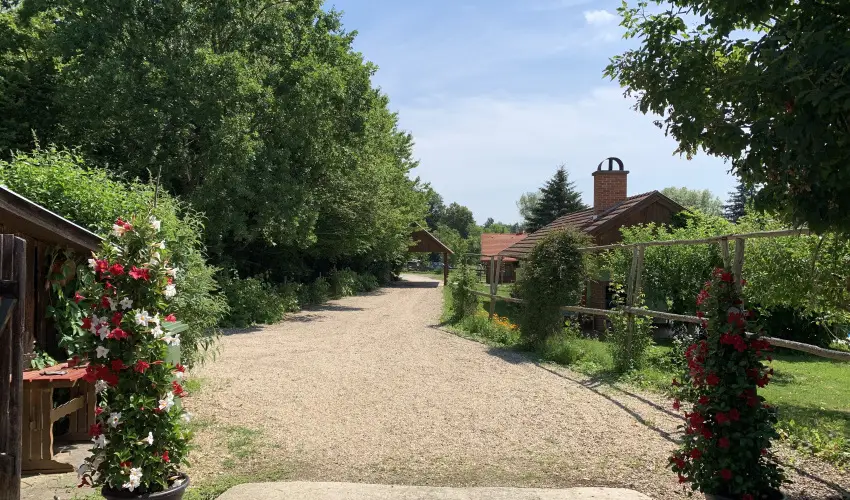 Kerca Bio Farm Kercaszomor - Szilveszter (min. 3 j)