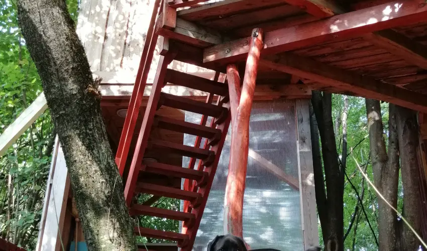 Kerca Bio Farm Kercaszomor - Szilveszter (min. 3 j)