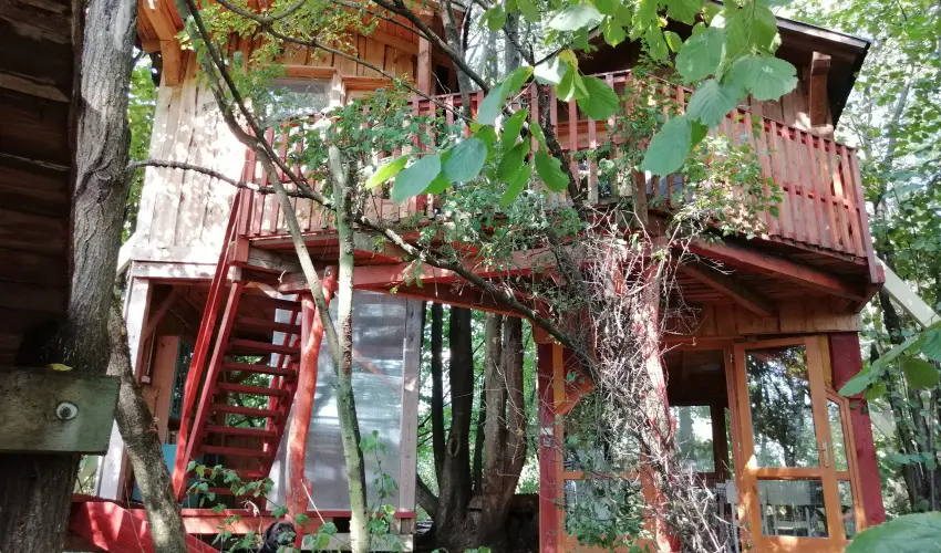 Kerca Bio Farm Kercaszomor - Szilveszter (min. 3 j)