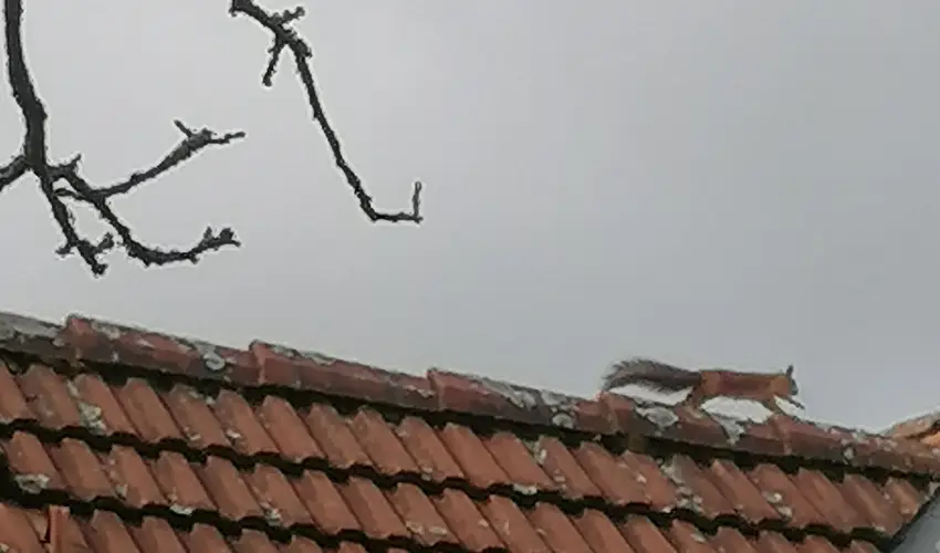 Kerka Vendghz Csesztreg - Szilveszter (min. 2 j)