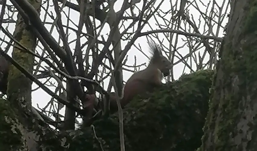 Kerka Vendghz Csesztreg - Szilveszter (min. 2 j)