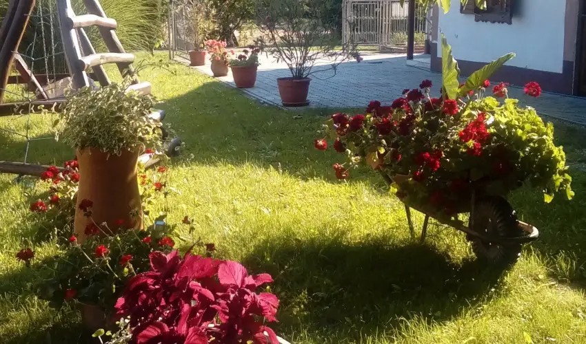 Kerka Vendghz Csesztreg - Szilveszter (min. 2 j)