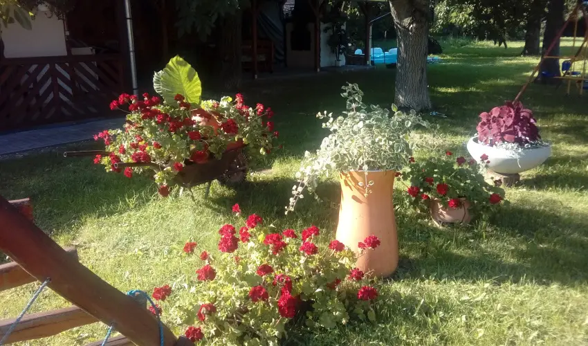 Kerka Vendghz Csesztreg - Szilveszter (min. 2 j)