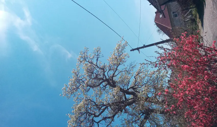 Kerka Vendghz Csesztreg - Szilveszter (min. 2 j)