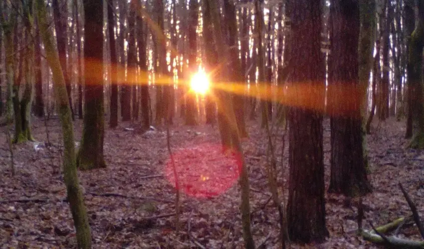 Kerka Vendghz Csesztreg - Szilveszter (min. 2 j)