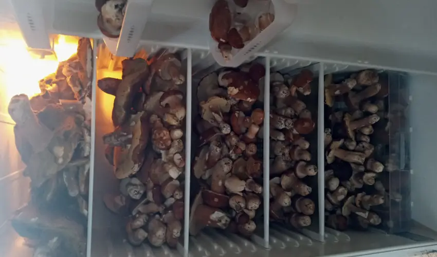 Kerka Vendghz Csesztreg - Szilveszter (min. 2 j)