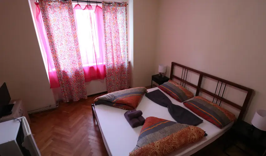 K�bor Macska Fogad� K�szeg - Szilveszter