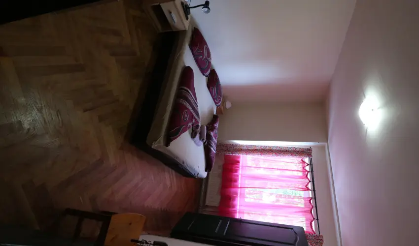 K�bor Macska Fogad� K�szeg - Szilveszter