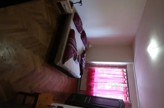 K�bor Macska Fogad� - Szilveszter