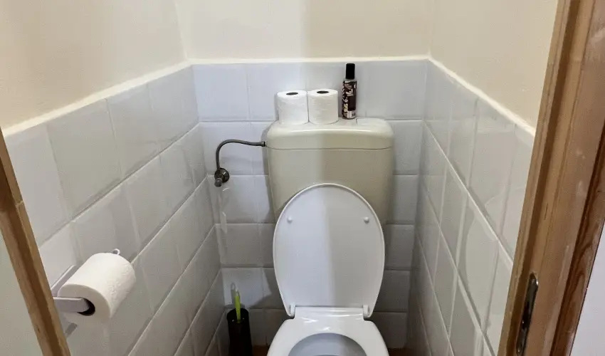 K�bor Macska Fogad� K�szeg - Szilveszter