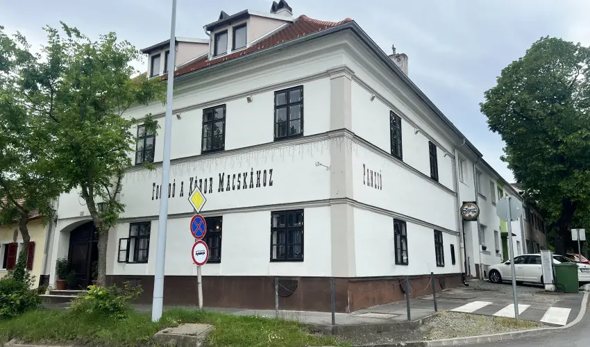 K�bor Macska Fogad� K�szeg - Szilveszter