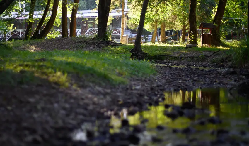 Kkapu Vadszkastly s Hotel & Apartments Nagyhuta - Szilveszter (min. 3 j)