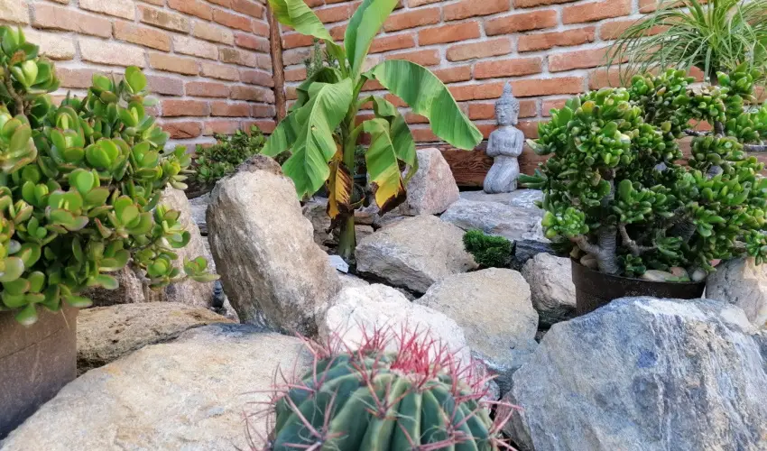 K�kert Pihen�h�z K�szeg - Szilveszter