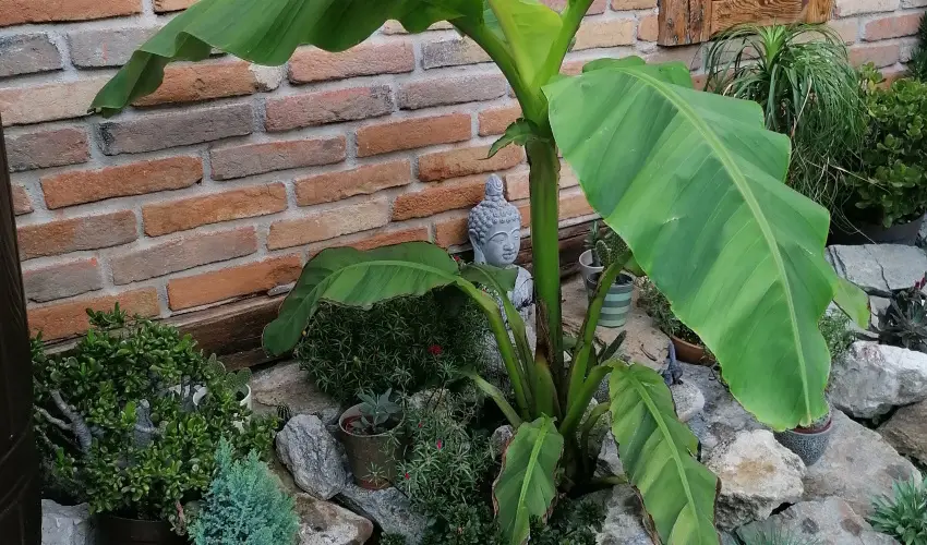 K�kert Pihen�h�z K�szeg - Szilveszter