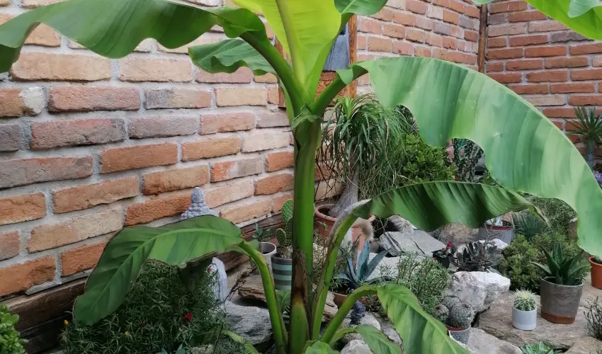 K�kert Pihen�h�z K�szeg - Szilveszter