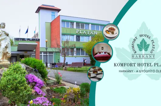 Komfort Hotel Plat�n - Szilveszter