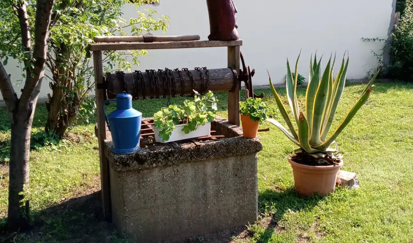 Krs Vendghz Szarvas - Szilveszter (min. 3 j)