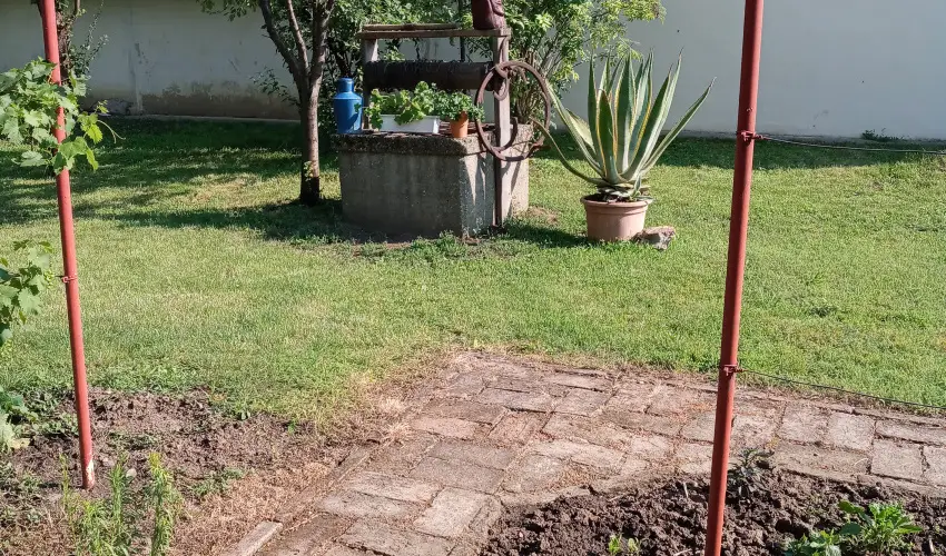 Krs Vendghz Szarvas - Szilveszter (min. 3 j)