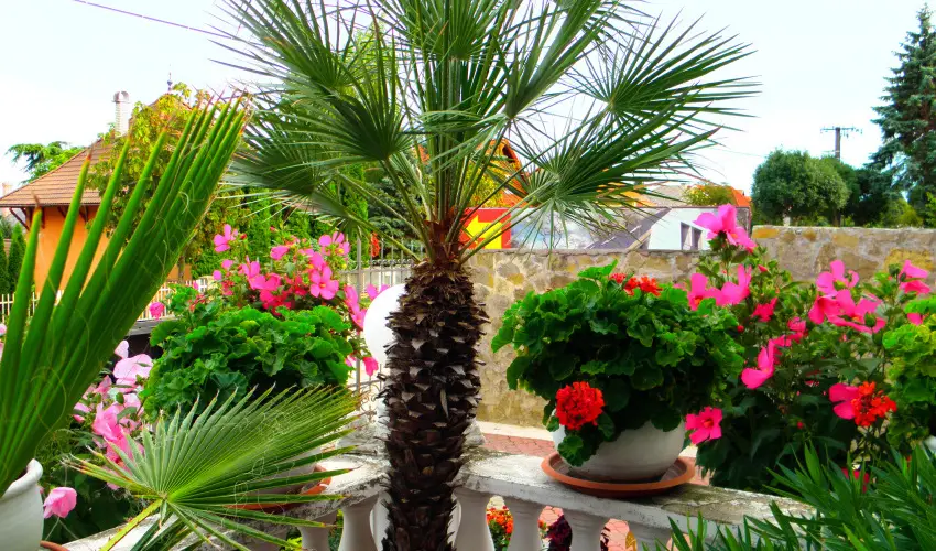 Kristly Apartman Hvz - Szilveszter (min. 2 j)