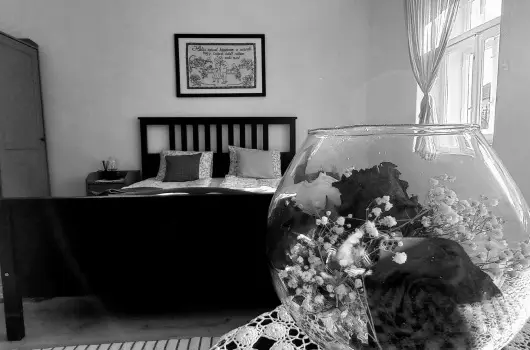 Lanks Vendghz - Szilveszter