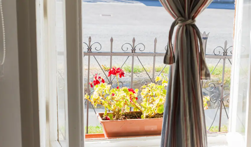 Lanks Vendghz Hollk - Szilveszter