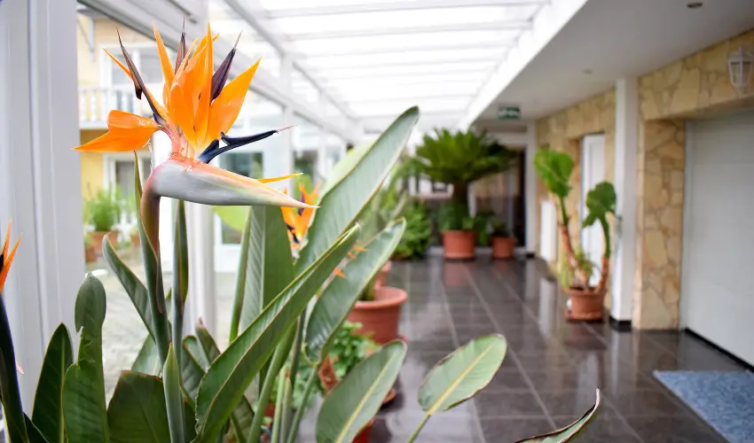 Ldia Hotel Harkny Harkny - Szilveszter (min. 3 j)