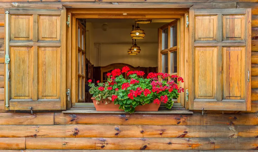 Lipicai Hotel Szilvsvrad - Szilveszter (min. 3 j)