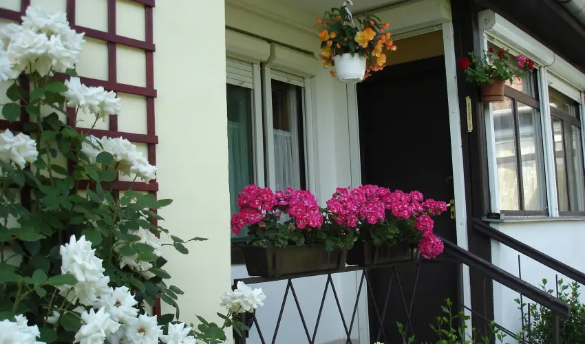 Liza Apartman Gyula - Szilveszter (min. 2 j)