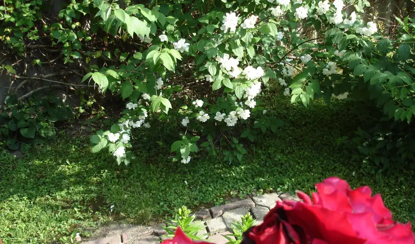 Liza Apartman Gyula - Szilveszter (min. 2 j)