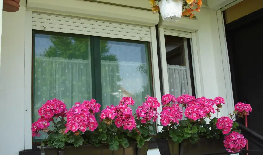 Liza Apartman Gyula - Szilveszter (min. 2 j)