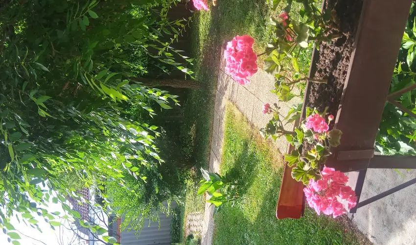 Liza Apartman Gyula - Szilveszter (min. 2 j)