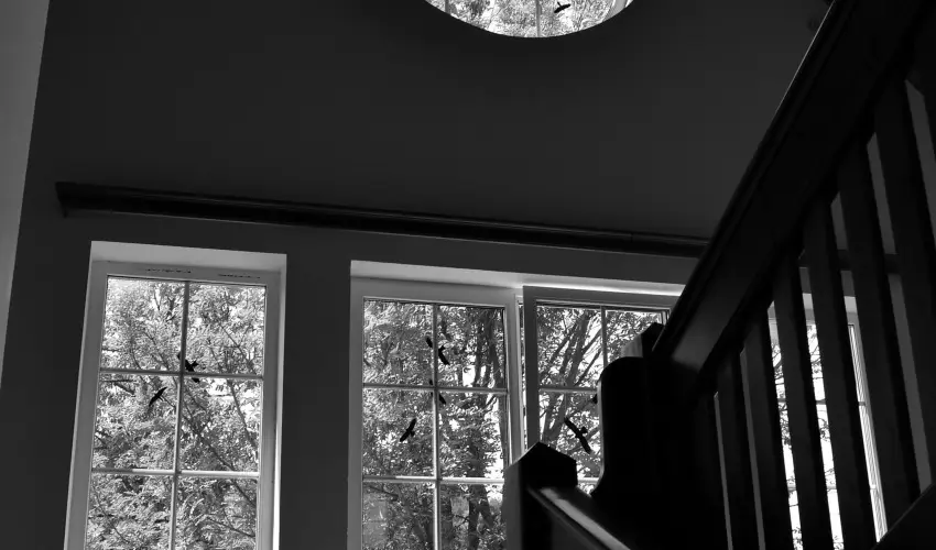 Malomkert Hotel Nagyb�rzs�ny - Szilveszter