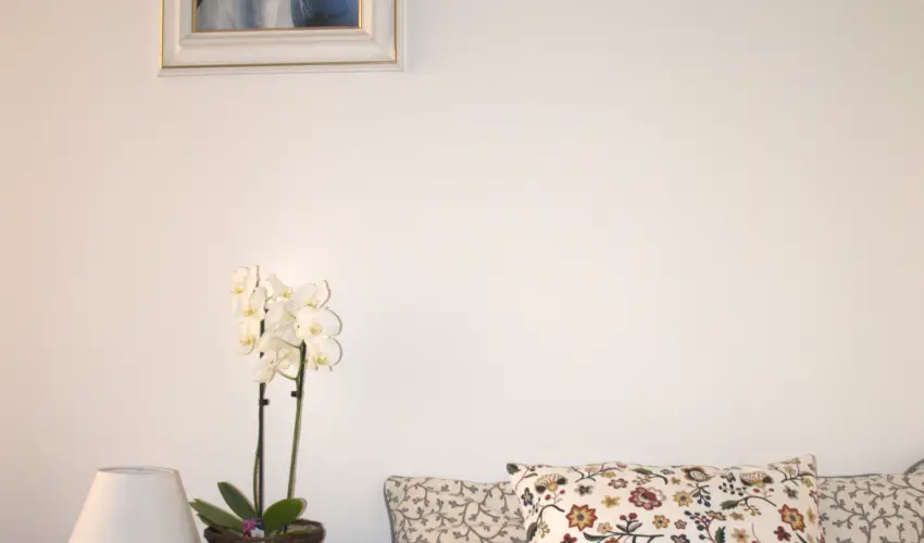 Malom-t Vendghz Tapolca - Szilveszter (min. 2 j)