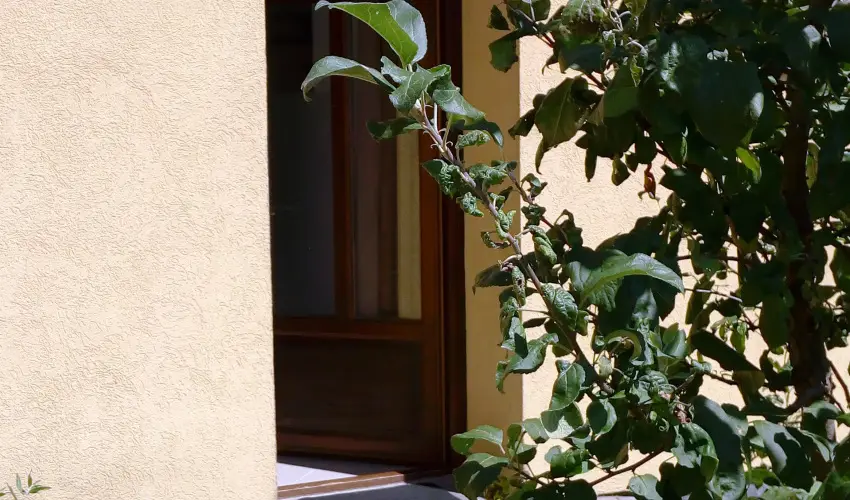 Malom-t Vendghz Tapolca - Szilveszter (min. 2 j)