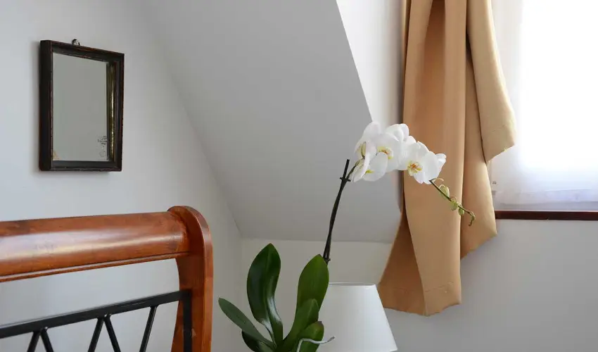 Malom-t Vendghz Tapolca - Szilveszter (min. 2 j)