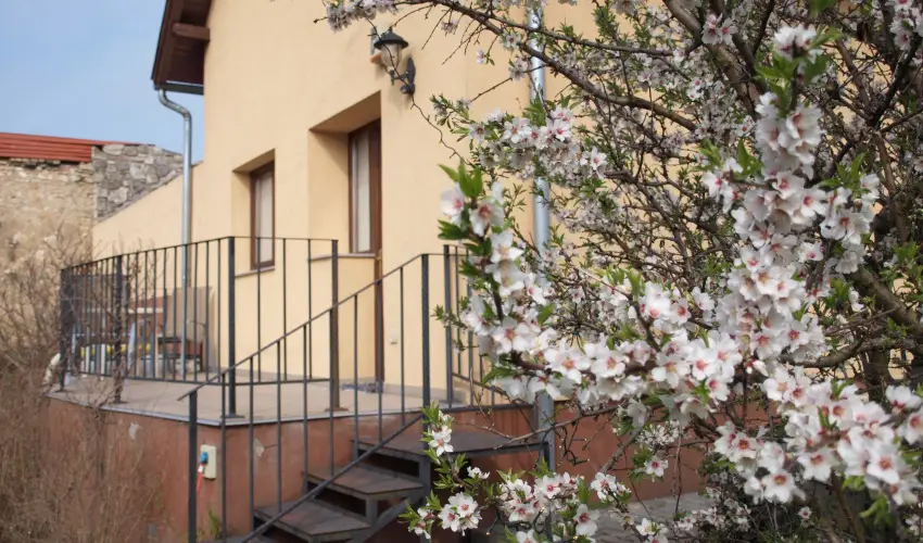 Malom-t Vendghz Tapolca - Szilveszter (min. 2 j)