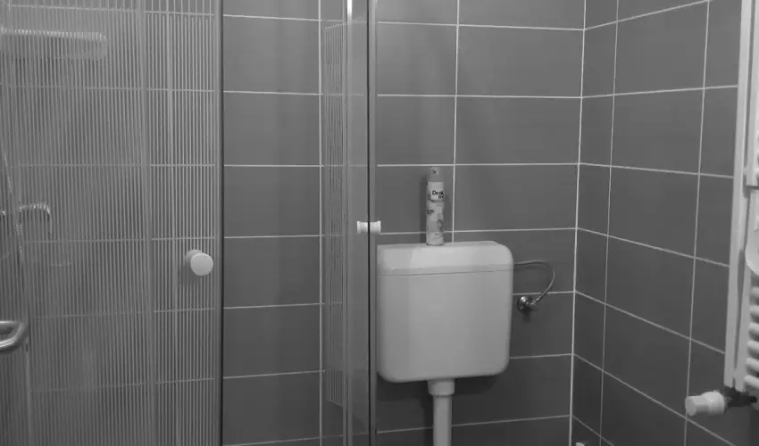 Margar�ta Apartman & �d�l�h�z Bog�cs - Szilveszter (min. 2 �j)