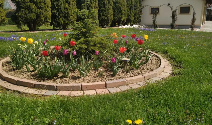 Mria Apartmanok Zalakaros - Szilveszter (min. 3 j)