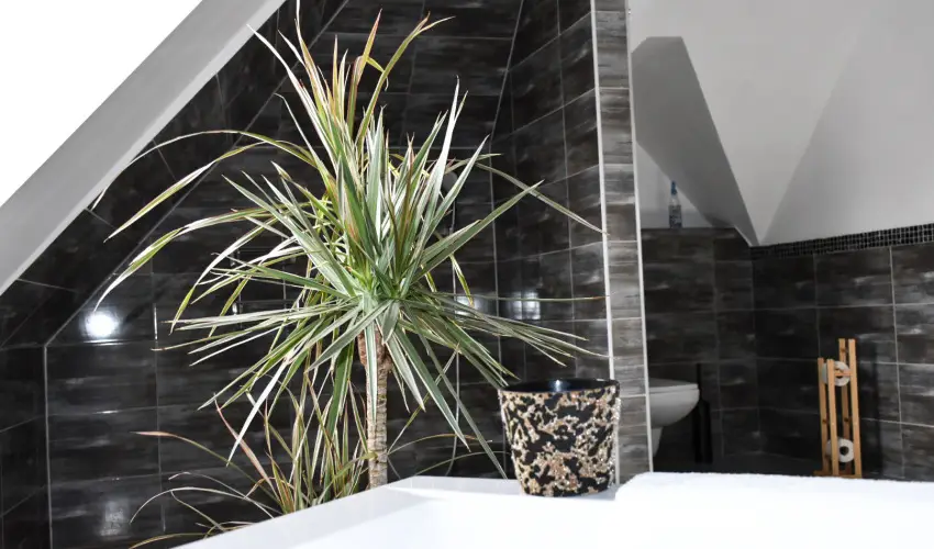 Vgvri Hotel Eger Eger - Szilveszter