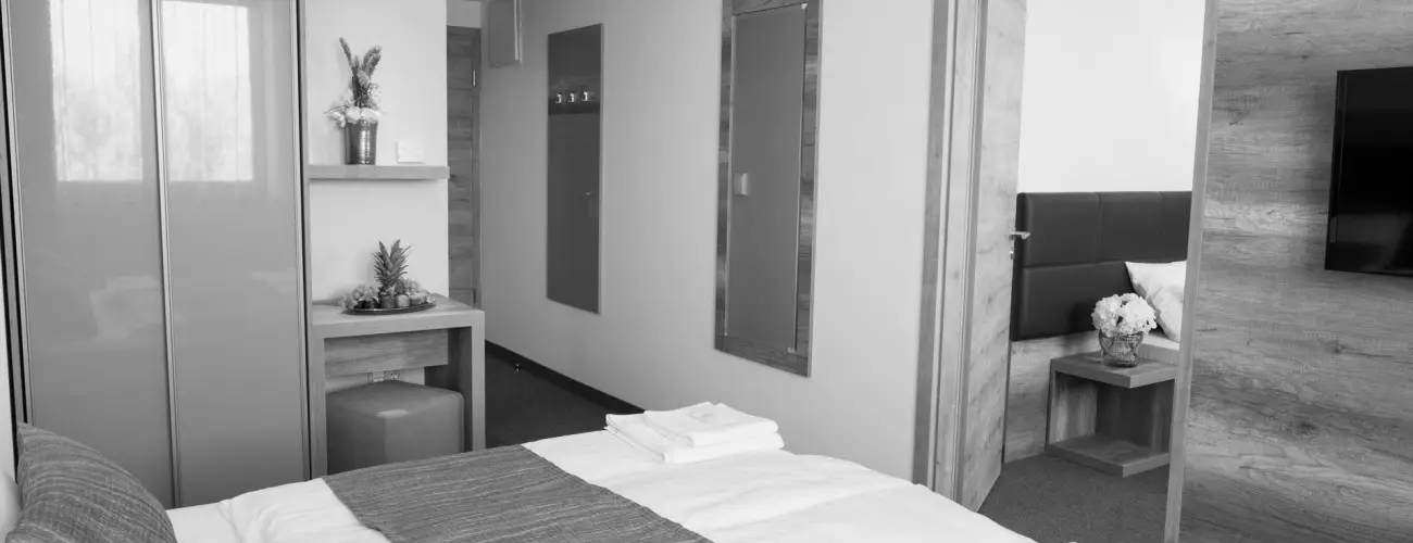 Ndas T Park Hotel Vasad - Szilveszter (min. 2 j)