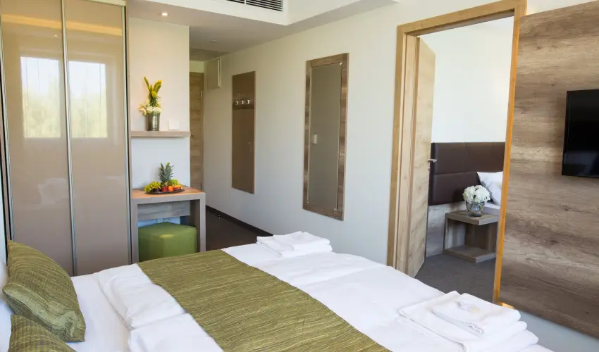 Ndas T Park Hotel Vasad - Szilveszter (min. 2 j)