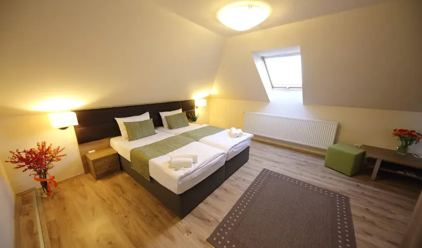 Ndas T Park Hotel Vasad - Szilveszter (min. 2 j)