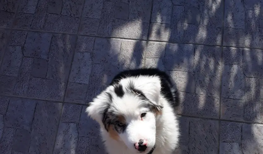 Napsugr Kenzy Lux Apartman Vendghzak Hajdszoboszl - Szilveszter (min. 2 j)