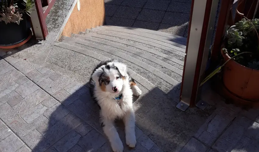 Napsugr Kenzy Lux Apartman Vendghzak Hajdszoboszl - Szilveszter (min. 2 j)